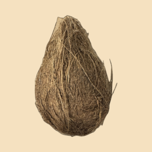 Organic Dry Coconuts