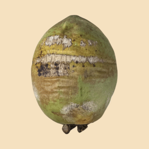 Organic Jelly Coconuts