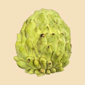 Fresh Organic Sweet Sop / Sugar Apple