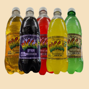 Bigga Soft Drinks 600ml (Assorted Flavours)