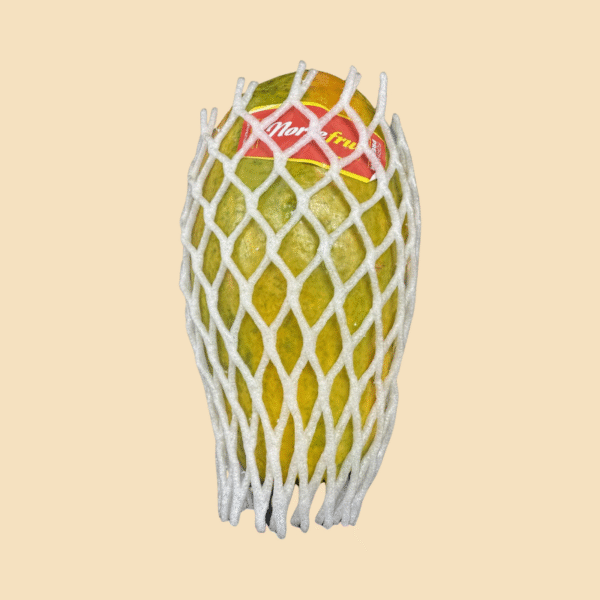 Large Fresh Organic Papaya