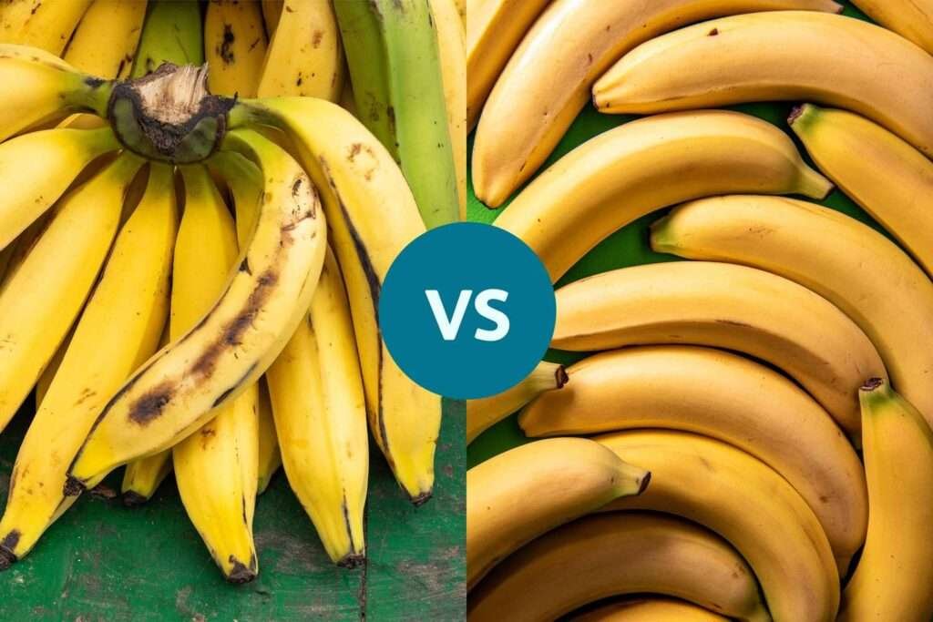 Side-by-side comparison of green/unripe bananas on the left and ripe yellow bananas on the right, with a blue VS circle in the center